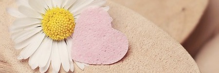 Energie update Witte Hond levenspad 17 februari - 1 maart 2022